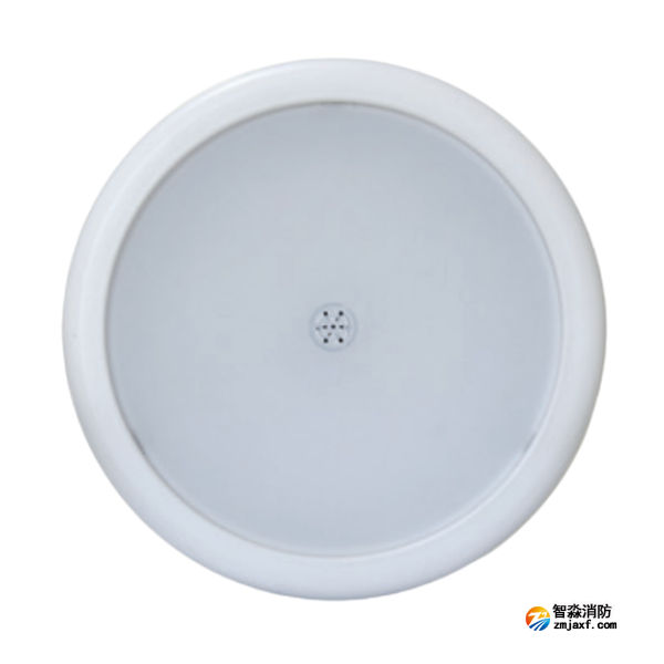 海灣HW-ZFJC-E9W-N657SG集中電源集中控制型消防應(yīng)急照明燈具